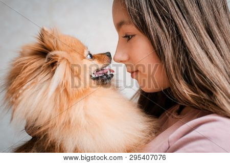 Teenage Girl With A Dog Breed Spitz Rejoices With A Pet At Home On The Floor. Care And Training Of A