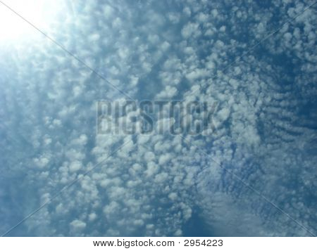 Makrele Himmel