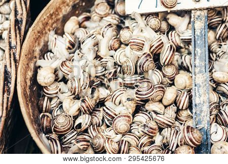 Raw Snails Alive For Sale In The Fish Market Pescheria Of Catania, Sicily, Italy