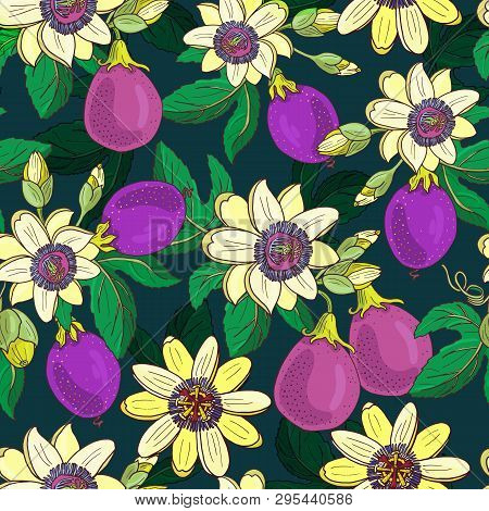 Passionflower Passiflora, Passion Purple Fruit Floral Seamless