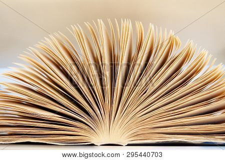 Close-up Open Book With Pages, Abstract Backgrop