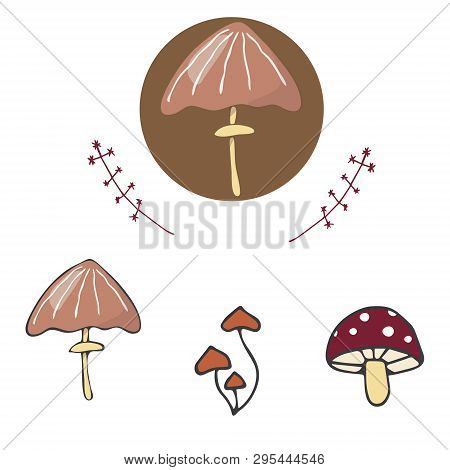 Mushrooms Figure Clip Art Vector Color Texture Element Funny Forest Oak Similar Family Logo Fantasy 