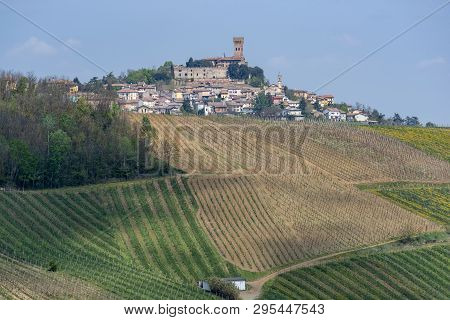 Oltrepo Pavese, Pavia, Lombardy, Italy: Country Landscape Of The Vineyards In Springtime (april)