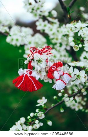Bulgarian Traditional Spring Decor Martenitsa On The Blossom Tree Background. Baba Marta Holiday.