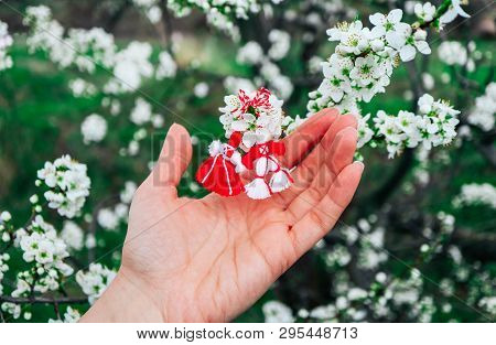 Bulgarian Traditional Spring Decor Martenitsa, Hold In Hand, Blossom Tree Background. Baba Marta Hol