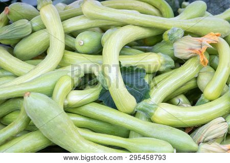 Market Stall, Italian Zucchini Spring With Their Flowers