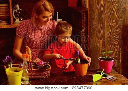 Hobby Concept. Little Child Help Woman Planting Flower In Pot With Soil, Hobby. Indoor Gardening As 