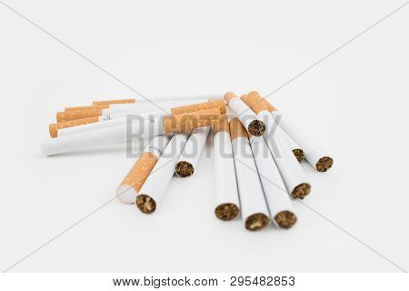 Cigars On White Background. Filtered Cigarettes. Tobacco.