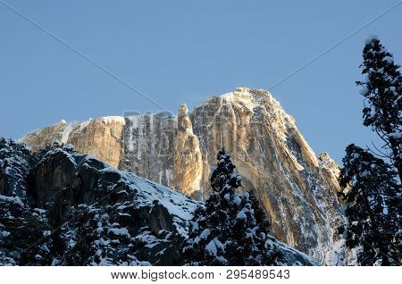 Snowy Yosemite Point With Snow Covered Trees In The Foreground. Yosemite National Park, California, 