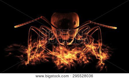 Big black ants on flame background. Focus stacking. Extreme sharp and detailed study