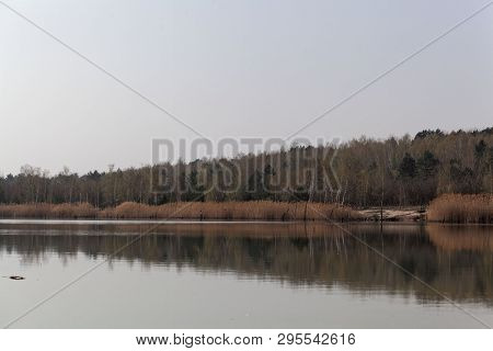 View Of The Ludwigsee In Saxony Anhalt/germany.