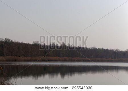 View Of The Ludwigsee In Saxony Anhalt/germany.