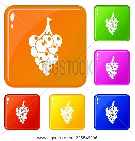 Grape Icons Set Collection 6 Color Isolated On White Background
