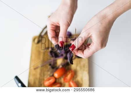 The Chef Tears Off The Leaves Of Basalica. Top View, White Background