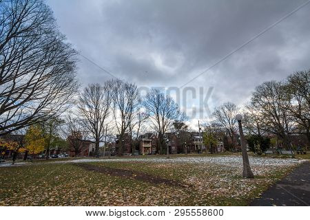 Ottawa, Canada - November 10, 2018: Autumn Tree With Yellow Leaves In Fall In Dundonald Park Of Cent