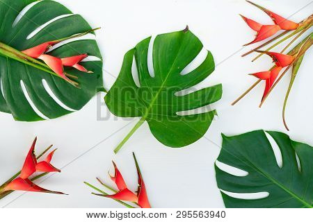 Tropical Green Fresh Mostera Leaves And Exotic Heliconia Red Flowers On Wooden Background
