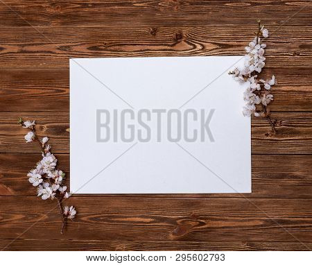 Apricot Branches With Flowers On A Wooden Background