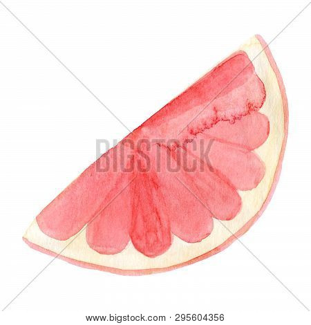 Watercolor Grapefruit Fruit. Hand Drawn Summer Illustration. Design For Fabric, Packaging, Textile, 