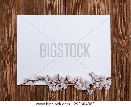 Apricot Branches With Flowers On A Wooden Background
