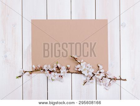 Apricot Branches With Flowers On A Wooden Background