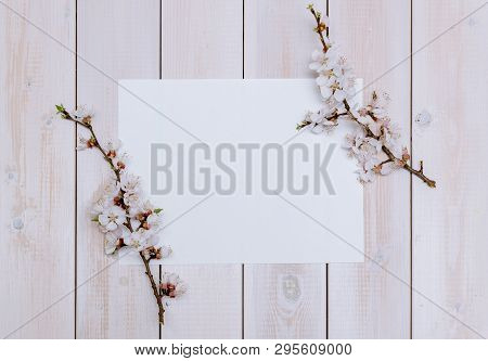 Apricot Branches With Flowers On A Wooden Background
