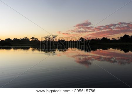 Sunrise In The Jungle. Yacuma Natural Park, Bolivia.