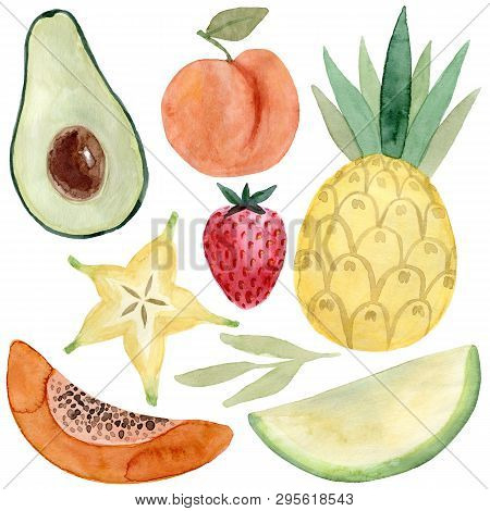 Watercolor Carambola, Avocado, Peach, Pineapple, Melon, Papaya, Strawberry. Hand Drawn Summer Illust