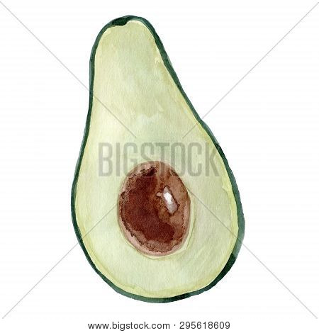 Watercolor Avocado Fruit. Hand Drawn Summer Illustration. Design For Fabric, Packaging, Textile, Cov