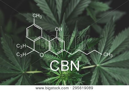 Cbn Formula, Cannabinoid . Growing Marijuana, Cbd And Thc Elements In Cannabis, Hemp Industry, Medic
