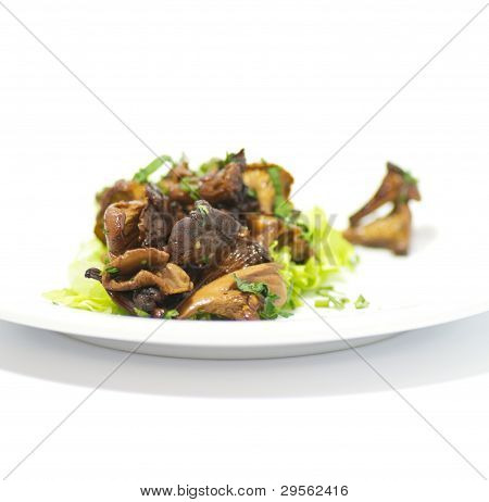 Funghi finferli con foglie di insalata