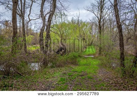 Environment, Forest, Green, Hiking, Landscape, Monmouth Battlefield State Park, Nature, New Jersey, 