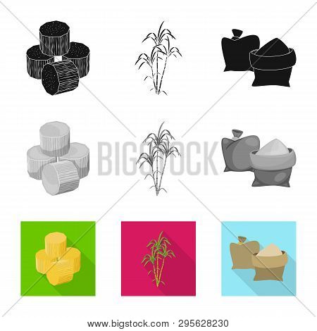 Vector Design Of Farm And Agriculture  Icon. Collection Of Farm And Technology Vector Icon For Stock