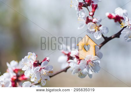 Closeup Wooden House With Hole In Form Of Heart Surrounded By White Flowering Branches Of Spring Tre