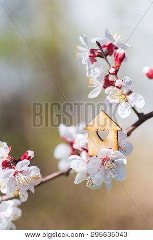 Closeup Wooden House With Hole In Form Of Heart Surrounded By White Flowering Branches Of Spring Tre