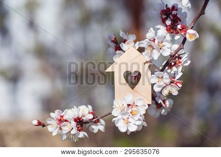 Closeup Wooden House With Hole In Form Of Heart Surrounded By White Flowering Branches Of Spring Tre