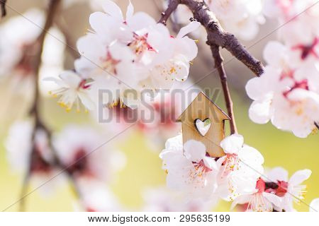 Closeup Wooden House With Hole In Form Of Heart Surrounded By White Flowering Branches Of Spring Tre