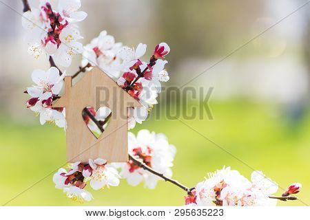 Closeup Wooden House With Hole In Form Of Heart Surrounded By White Flowering Branches Of Spring Tre