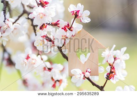 Closeup Wooden House With Hole In Form Of Heart Surrounded By White Flowering Branches Of Spring Tre