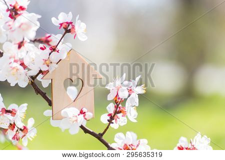 Closeup Wooden House With Hole In Form Of Heart Surrounded By White Flowering Branches Of Spring Tre