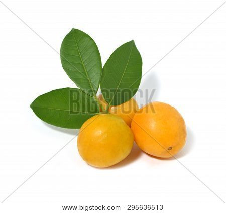Fruit Of Brazil Cajarana. Cajá. Sour And Delicious Fruit With Leaves. Isolated Cajaranas Fruits.