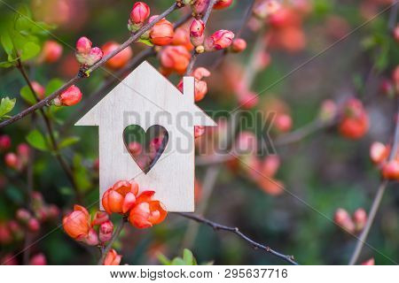 Closeup Wooden House With Hole In Form Of Heart Surrounded By Pink Flowering Branches Of Spring Tree