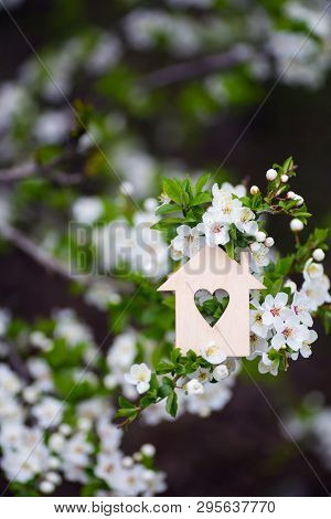Closeup Wooden House With Hole In Form Of Heart Surrounded By White Flowering Branches Of Spring Tre