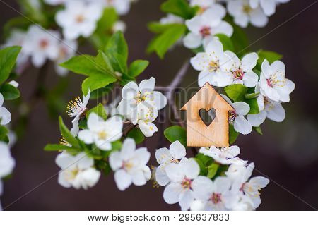Closeup Wooden House With Hole In Form Of Heart Surrounded By White Flowering Branches Of Spring Tre