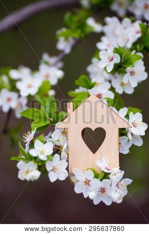Closeup Wooden House With Hole In Form Of Heart Surrounded By White Flowering Branches Of Spring Tre