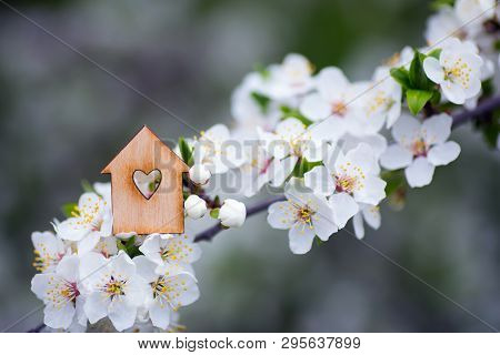Closeup Wooden House With Hole In Form Of Heart Surrounded By White Flowering Branches Of Spring Tre