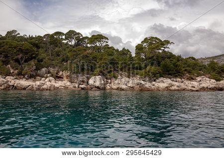 Trees And Nature At Lokrum Island Coast, Dubrovnik, In Croatia