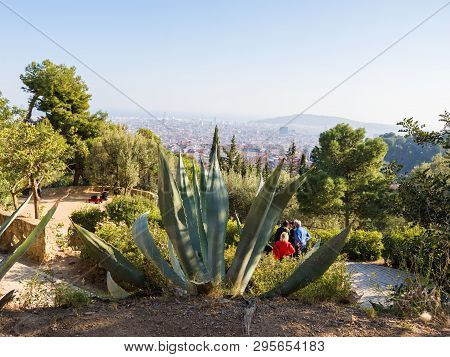 Huge Agava In The Park Guelle In Barcelona