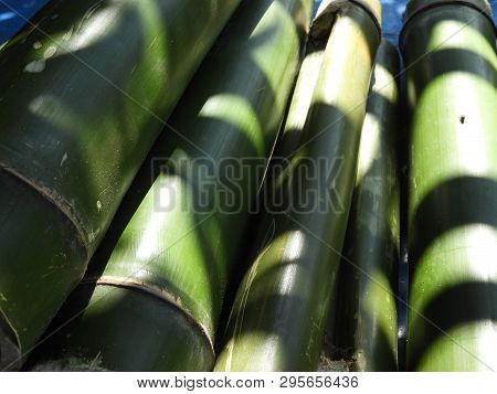 Bamboo Pieces Used To Make Bamboo Chicken Or Bamboo Chicken Biryani Kept For Sale