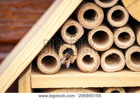 An Insect Hotel For Bees Wasps And Other Insects