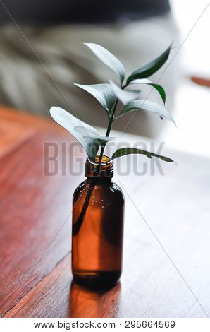 Israeli Ruscus ,sraeli Ruscus Green Leaf In The Vase